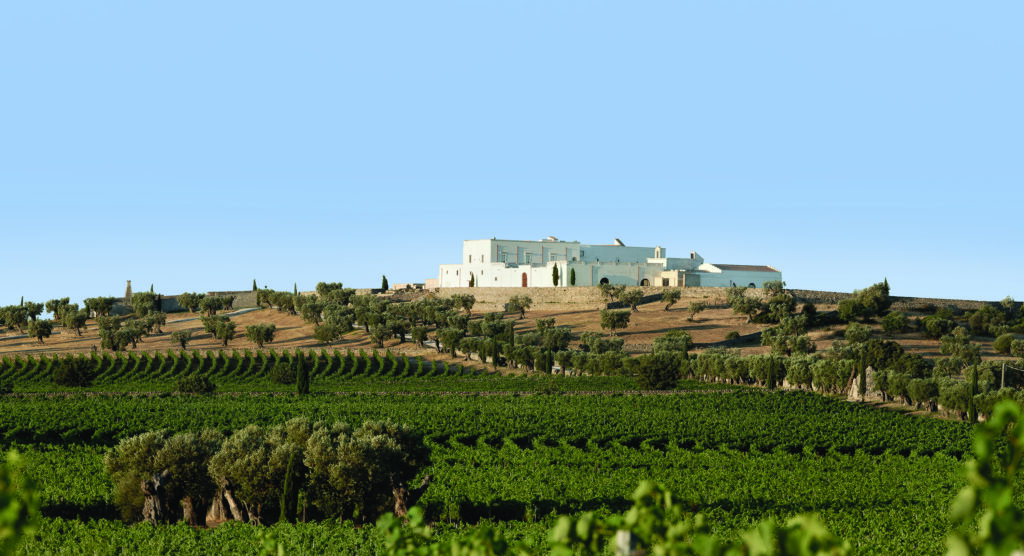 CITY TOUR E FOOD E WINE