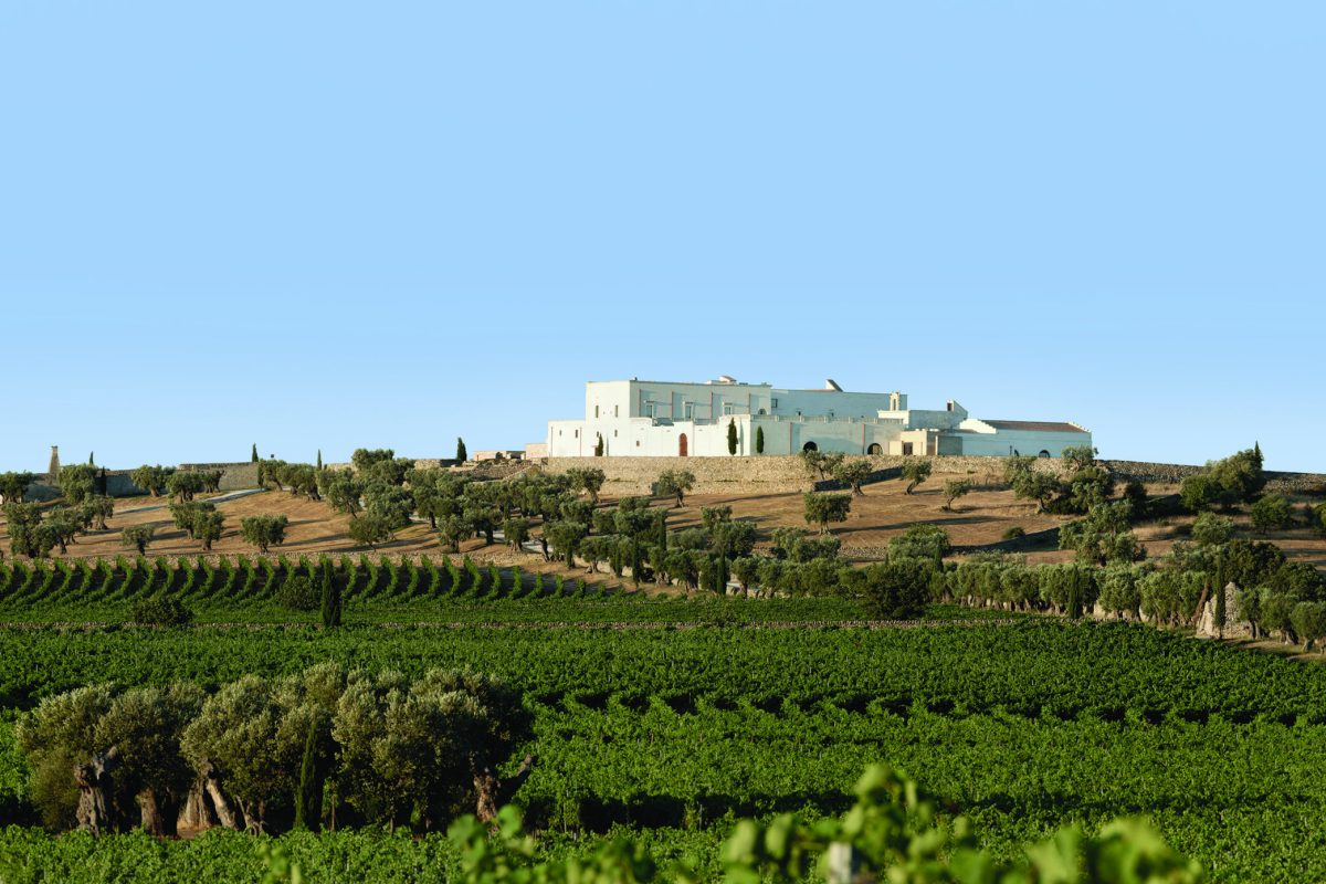 CITY TOUR E FOOD E WINE