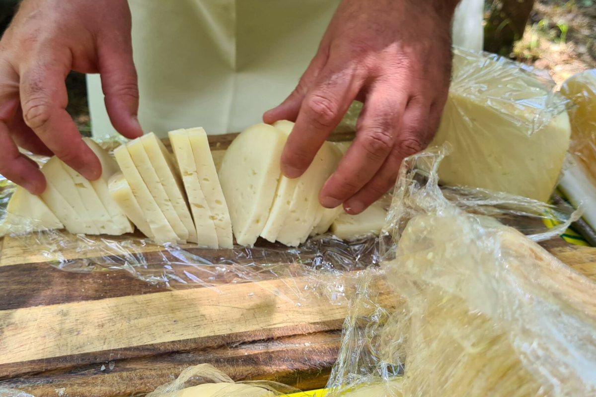 degustazione-formaggio-min